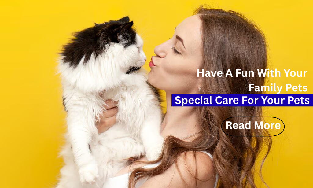 have a fun with your family pets (1)